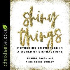 Shiny Things by Amanda Bacon audiobook