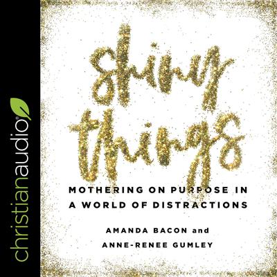 Shiny Things by Amanda Bacon audiobook