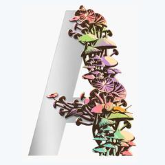 Ambergris by Jeff VanderMeer audiobook