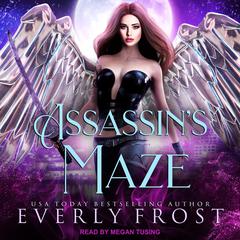 Assassin's Maze by Everly Frost audiobook