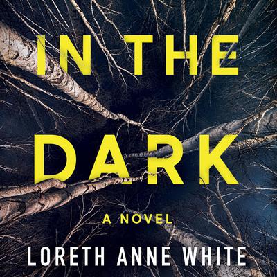 In the Dark by Loreth Anne White audiobook
