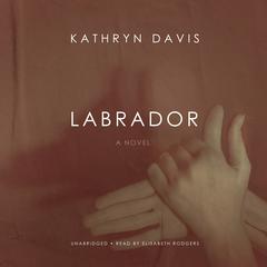 Labrador by Kathryn Davis audiobook