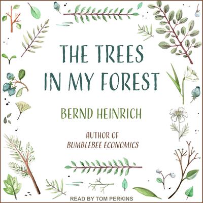 The Trees in My Forest by Bernd Heinrich audiobook