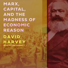 Marx, Capital, and the Madness of Economic Reason by David Harvey audiobook