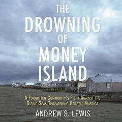 The Drowning of Money Island by Andrew S. Lewis audiobook
