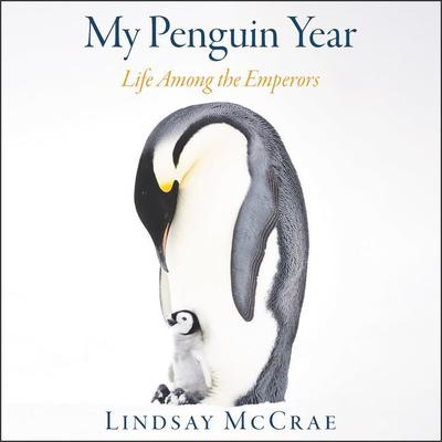 My Penguin Year by Lindsay McCrae audiobook