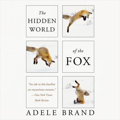 The Hidden World of the Fox by Adele Brand audiobook