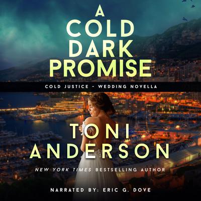 A Cold Dark Promise by Toni Anderson audiobook