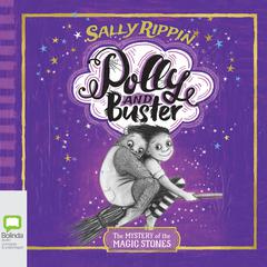 The Mystery of the Magic Stones by Sally Rippin audiobook
