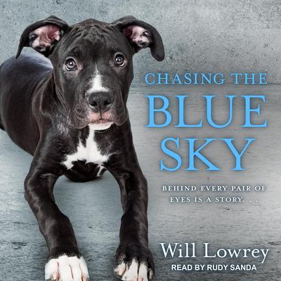 Chasing the Blue Sky by Will Lowrey audiobook