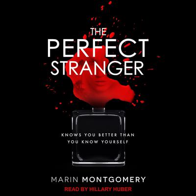 The Perfect Stranger by Marin Montgomery audiobook