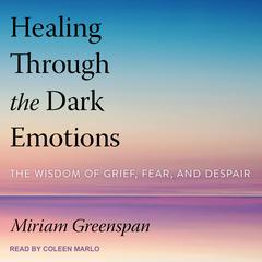 Healing Through the Dark Emotions by Miriam Greenspan audiobook