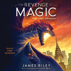The Last Dragon by James Riley audiobook