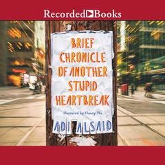 Brief Chronicle of Another Stupid Heartbreak by Adi Alsaid audiobook
