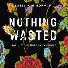 Nothing Wasted by Kasey Van Norman audiobook