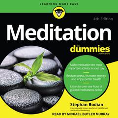 Meditation For Dummies by Stephan Bodian audiobook