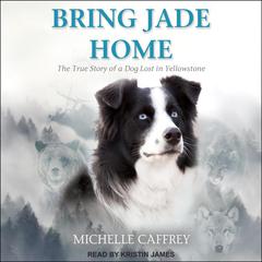 Bring Jade Home by Michelle Caffrey audiobook