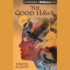 The Good Hawk by Joseph Elliott audiobook