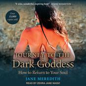 Journey to the Dark Goddess by  Jane Meredith audiobook