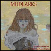 Mudlarks by  Benita Cullingford audiobook