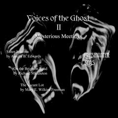 Voices of the Ghost II: Mysterious Meetings by Amelia B. Edwards audiobook