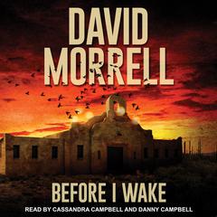 Before I Wake by David Morrell audiobook