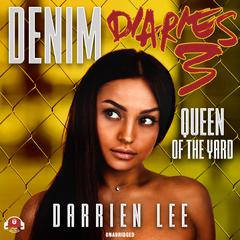 Denim Diaries 3 by Darrien Lee audiobook
