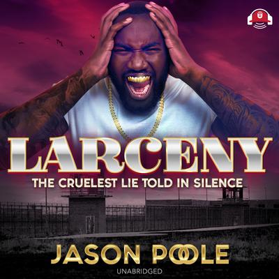 Larceny by Jason Poole audiobook