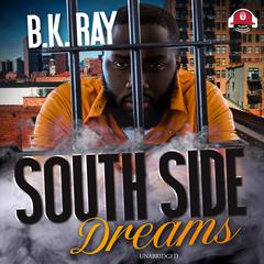 South Side Dreams by Brenda Hampton audiobook