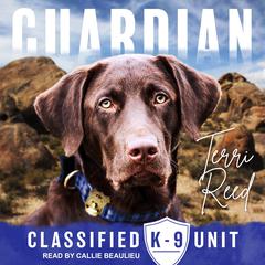 Guardian by Terri Reed audiobook
