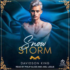 Snow Storm by Davidson King audiobook