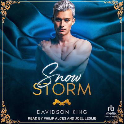 Snow Storm by Davidson King audiobook