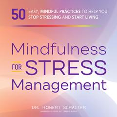 Mindfulness for Stress Management by Robert Schacter audiobook
