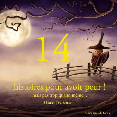 14 contes pour avoir peur mais pas trop quand même by Brothers Grimm audiobook