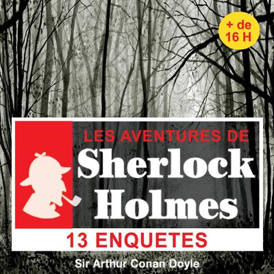 14 enquêtes de Sherlock Holmes by Arthur Conan Doyle audiobook