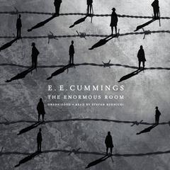The Enormous Room by E. E. Cummings audiobook