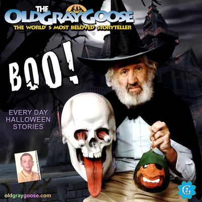 Boo! by Geoffrey Giuliano audiobook