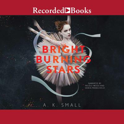 Bright Burning Stars by A. K. Small audiobook