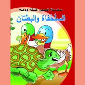 السلحفاة والبطتان by  سامي حيدر audiobook