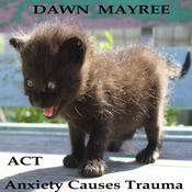 ACT by  Dawn Mayree audiobook
