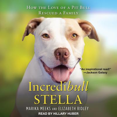 Incredibull Stella by Elizabeth Ridley audiobook