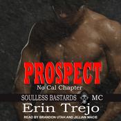 Prospect by  Erin Trejo audiobook