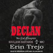 Declan by  Erin Trejo audiobook