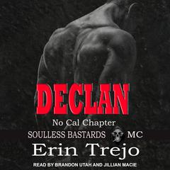 Declan by Erin Trejo audiobook