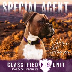 Special Agent by Valerie Hansen audiobook