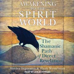 Awakening to the Spirit World by Sandra Ingerman audiobook
