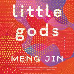 Little Gods by Meng Jin audiobook
