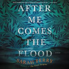 After Me Comes the Flood by Sarah Perry audiobook