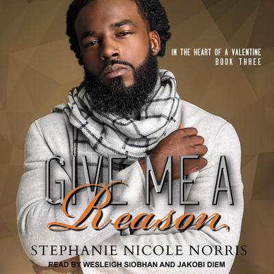 Give Me A Reason by Stephanie Nicole Norris audiobook