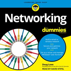 Networking For Dummies by Doug Lowe audiobook